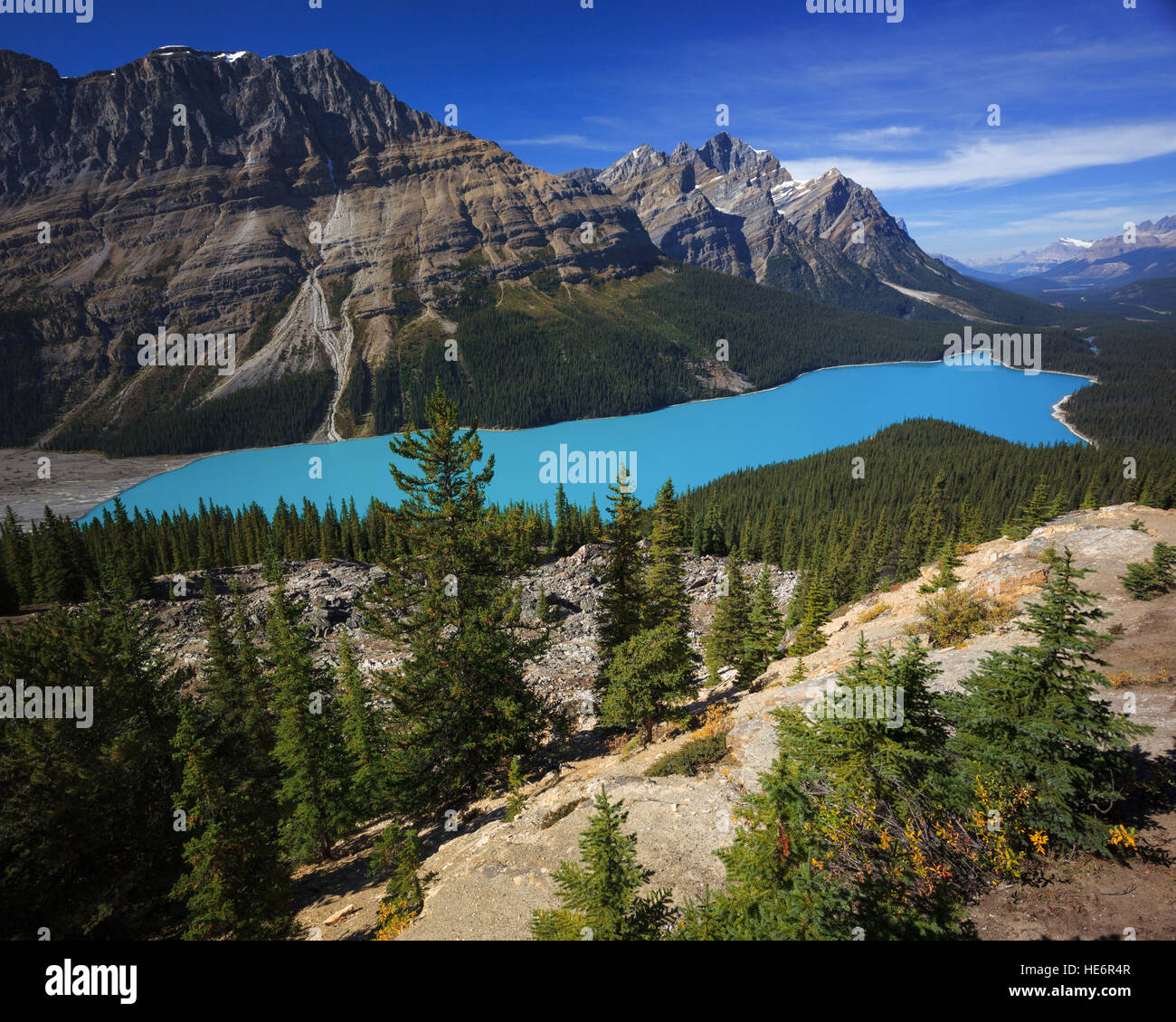 Peyto Lake in Banff Canada Stock Photo