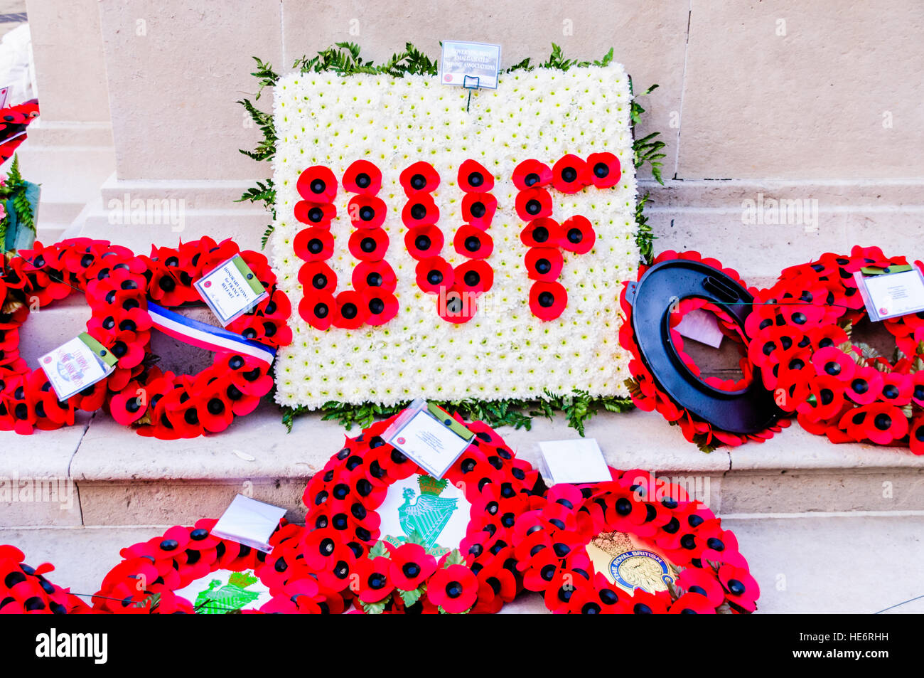 UVF poppy wreath laid among others at the cenotaph, Belfast. Stock Photo
