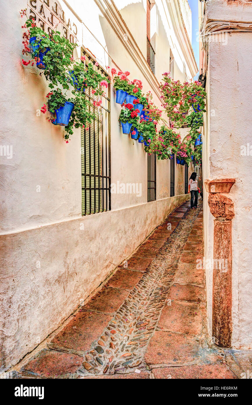 Beautiful White Walls Decorated with Colorful Flowers Stock Photo Alamy