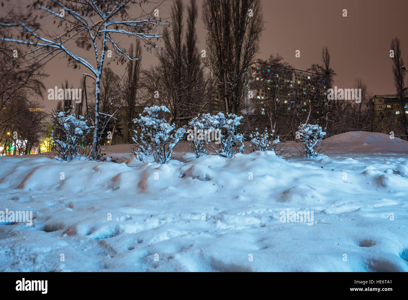 High rise building trees hi-res stock photography and images - Alamy