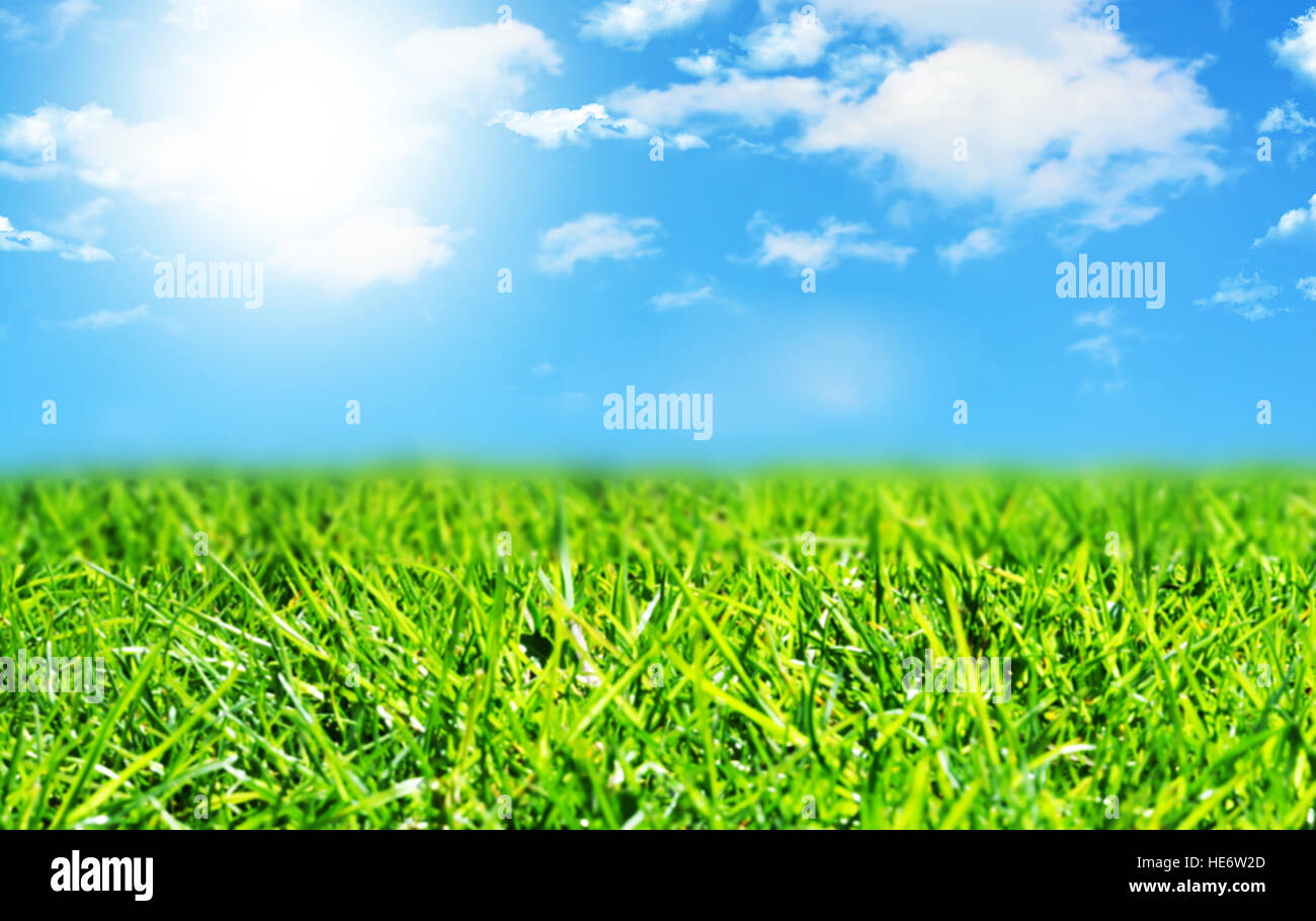 Blue sky with white clouds and green grass background on a summer day ...