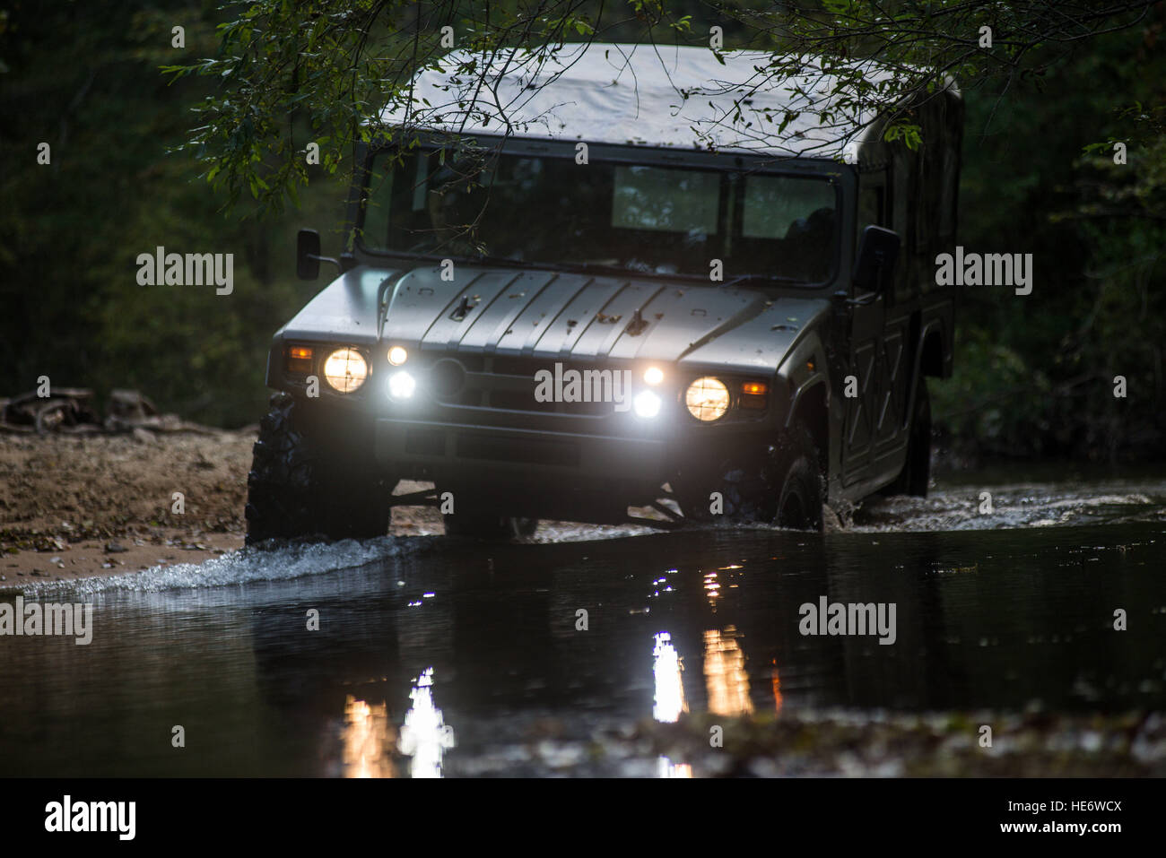 SUV Motor Car Toyota Mega Cruiser Driving On A Forest Stock Photo - Alamy