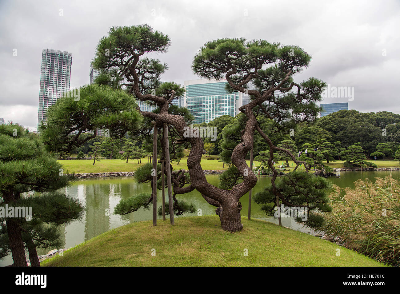 Detail of the Hamarikyu Gardens in Tokyo, Japan Stock Photo