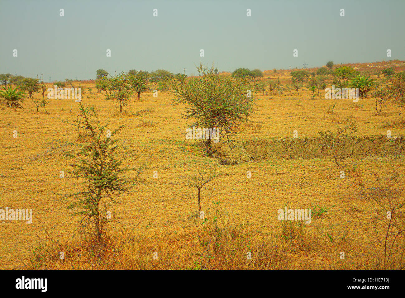 The area in district Nagpur, Maharashtra. India. Dry foothills with