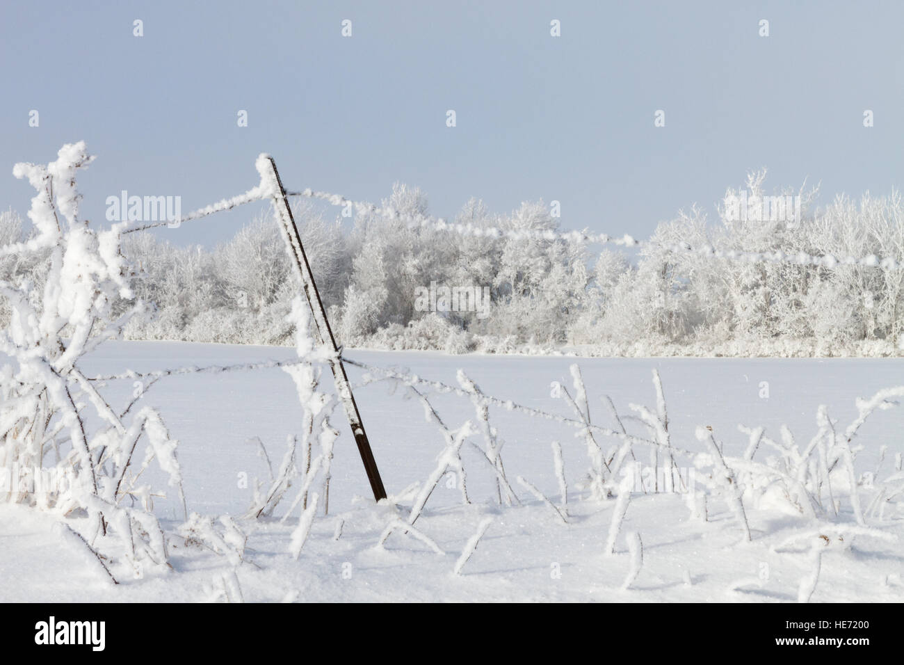 Snow and frost covered fence with field and tree-line in background Stock Photo