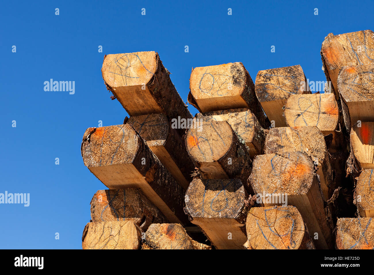 Stack of wooden beam in sawmil. Stock Photo
