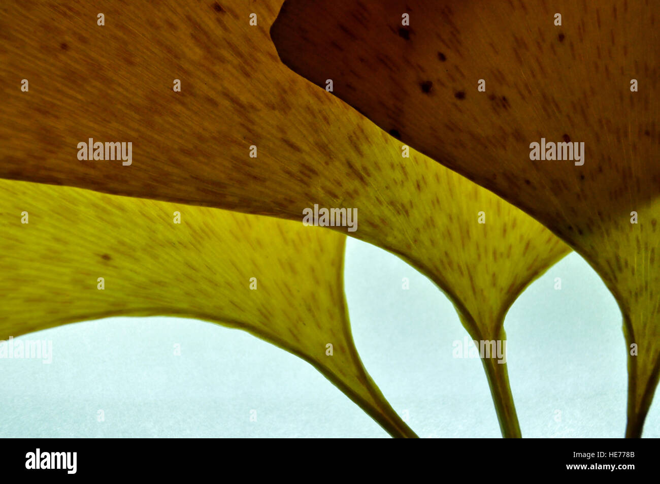 Abstract mosaic triangle pattern hi-res stock photography and images ...