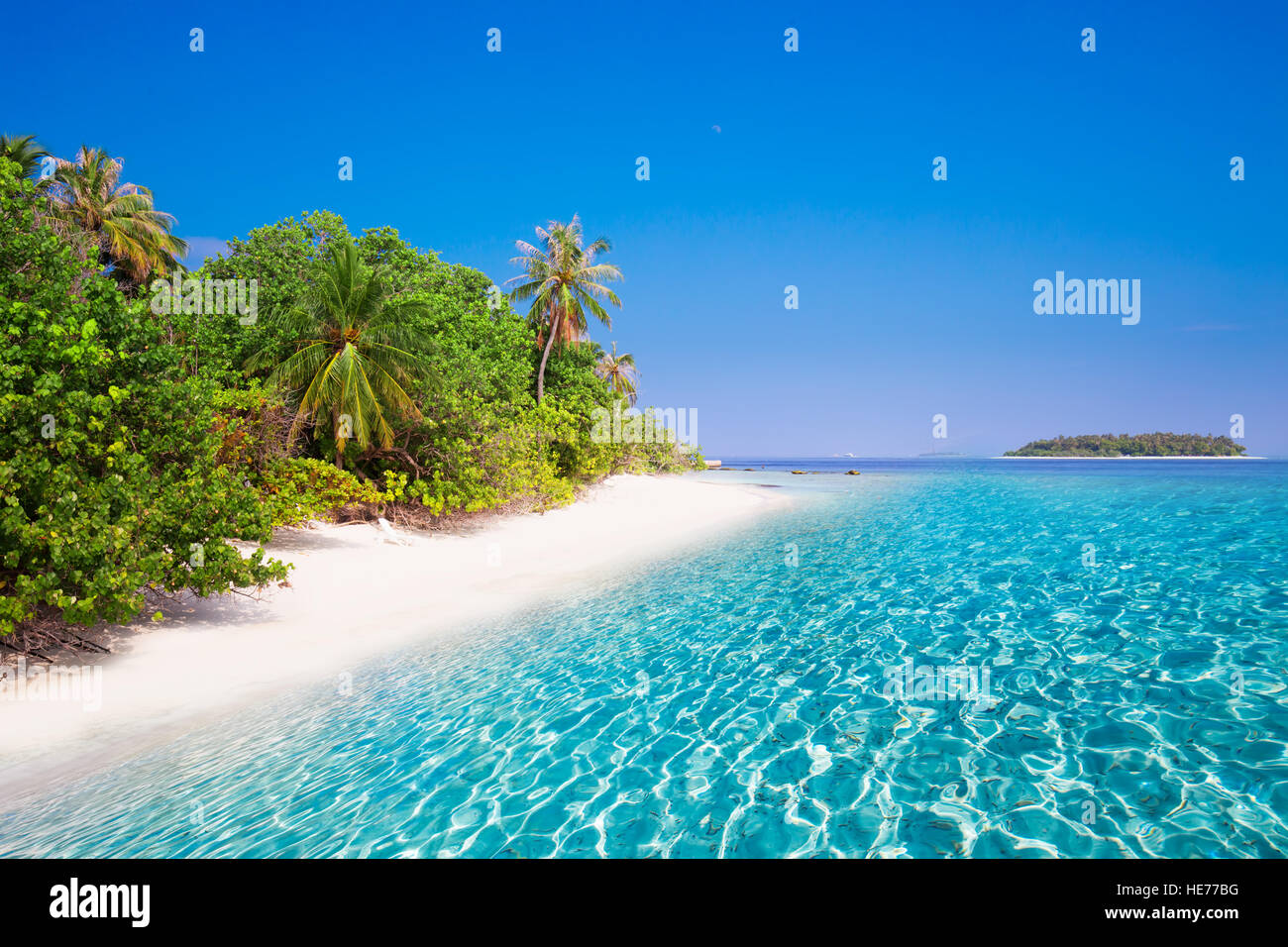 Tropical island with sandy beach with turquoise clear water and palm trees Stock Photo