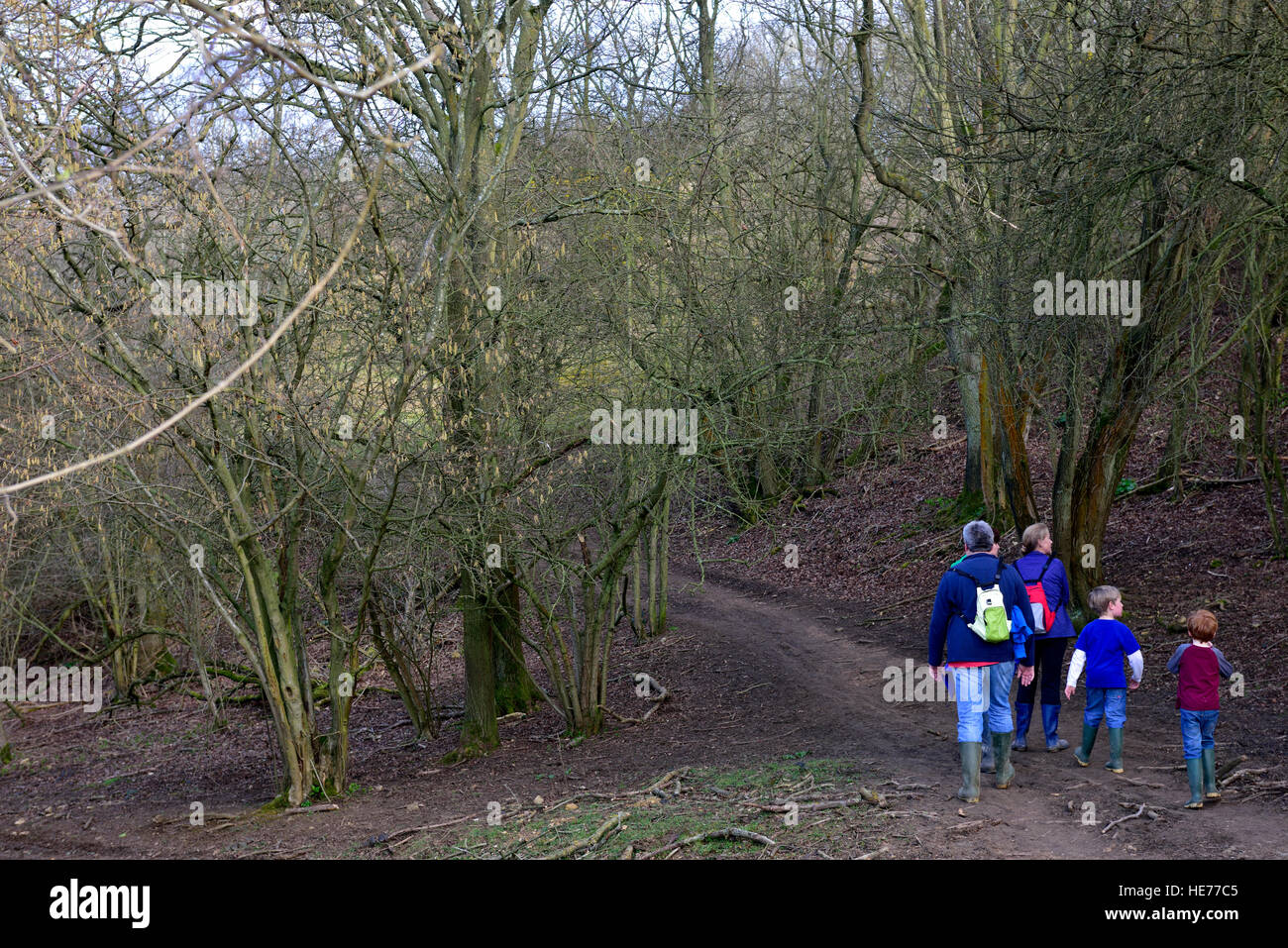 Family walking Cotswolds footpath in woods, England Stock Photo