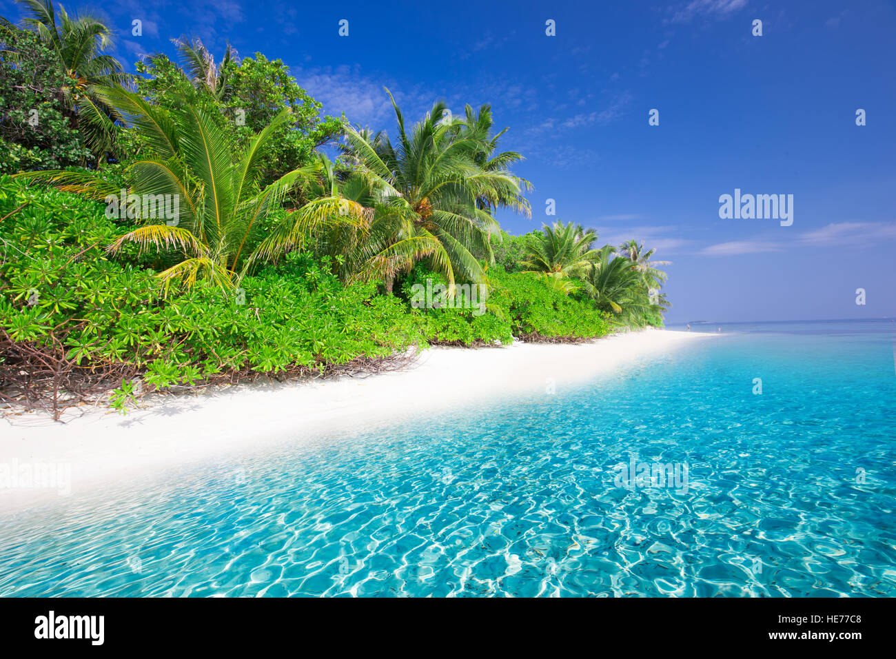 Tropical island with sandy beach with palm trees and turquoise clear water Stock Photo