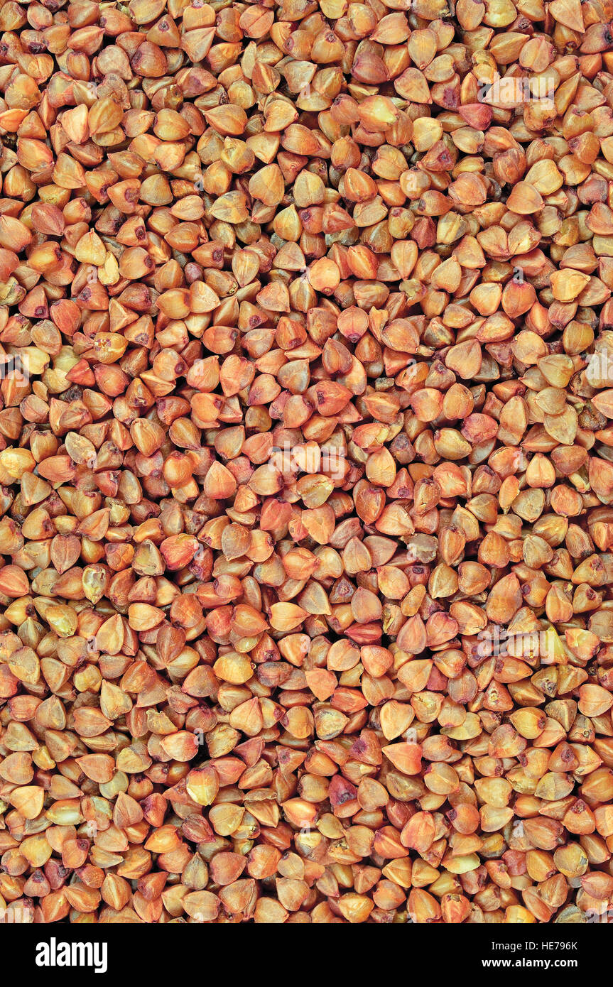 Raw buckwheat groats background, dry cereal seeds, large vertical