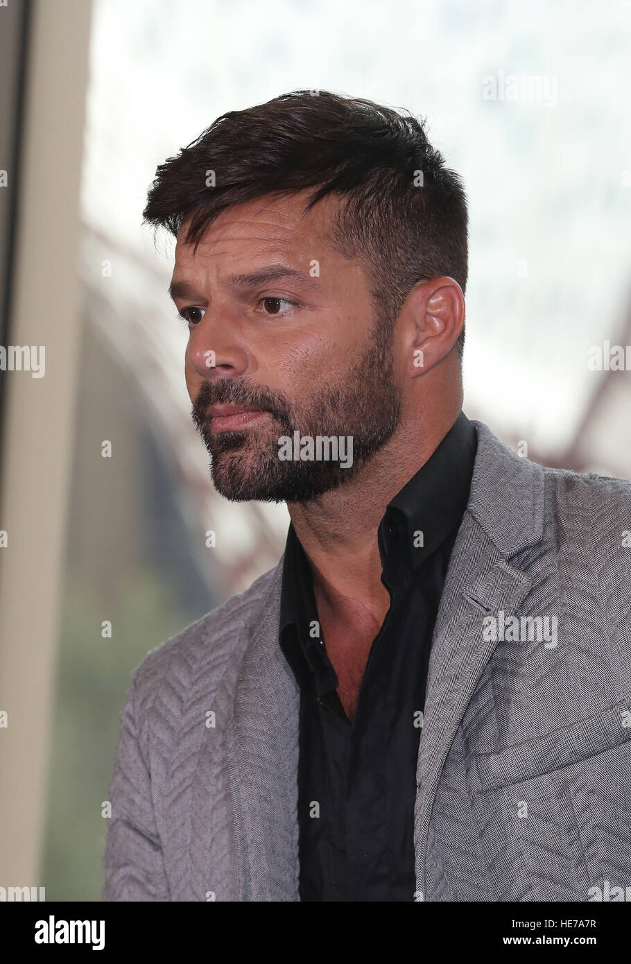 2016 ricky martin hi-res stock photography and images