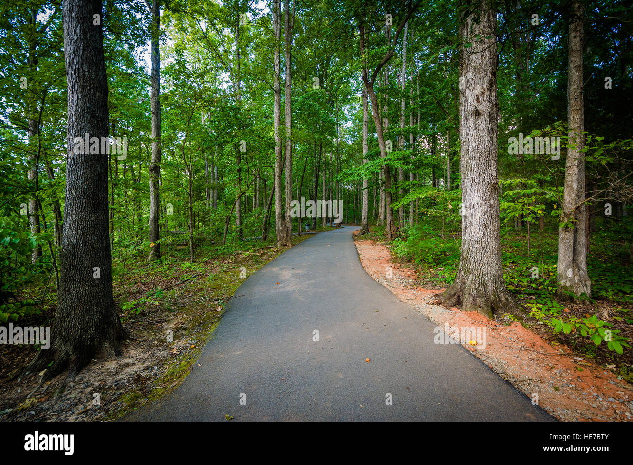 Trail at Jetton Park, in Cornelius, North Carolina Stock Photo Alamy