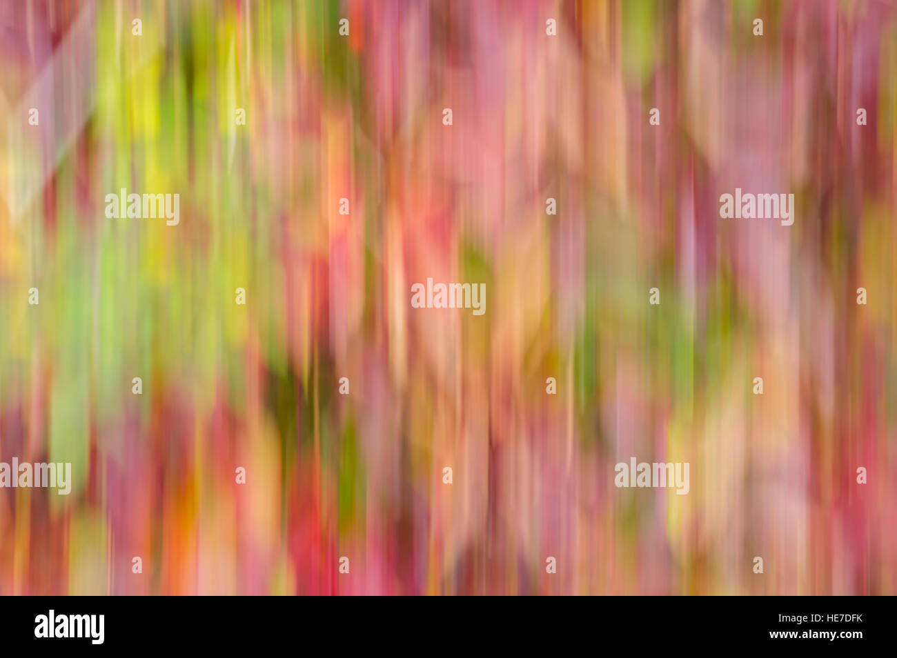 Blurry natural pattern hi-res stock photography and images - Alamy