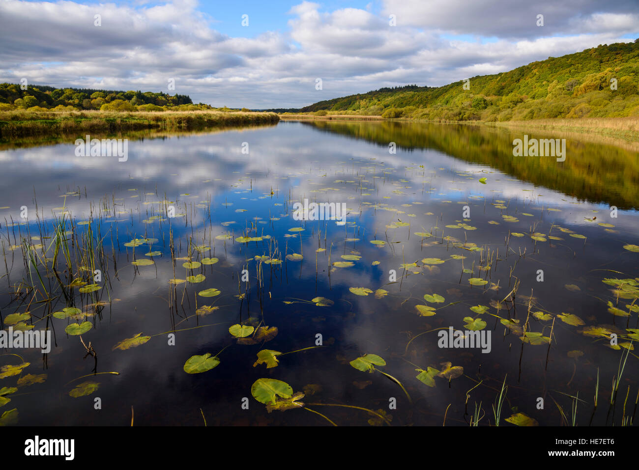 Otter Pool on the River Cree, Dumfries & Galloway, Scotland Stock Photo
