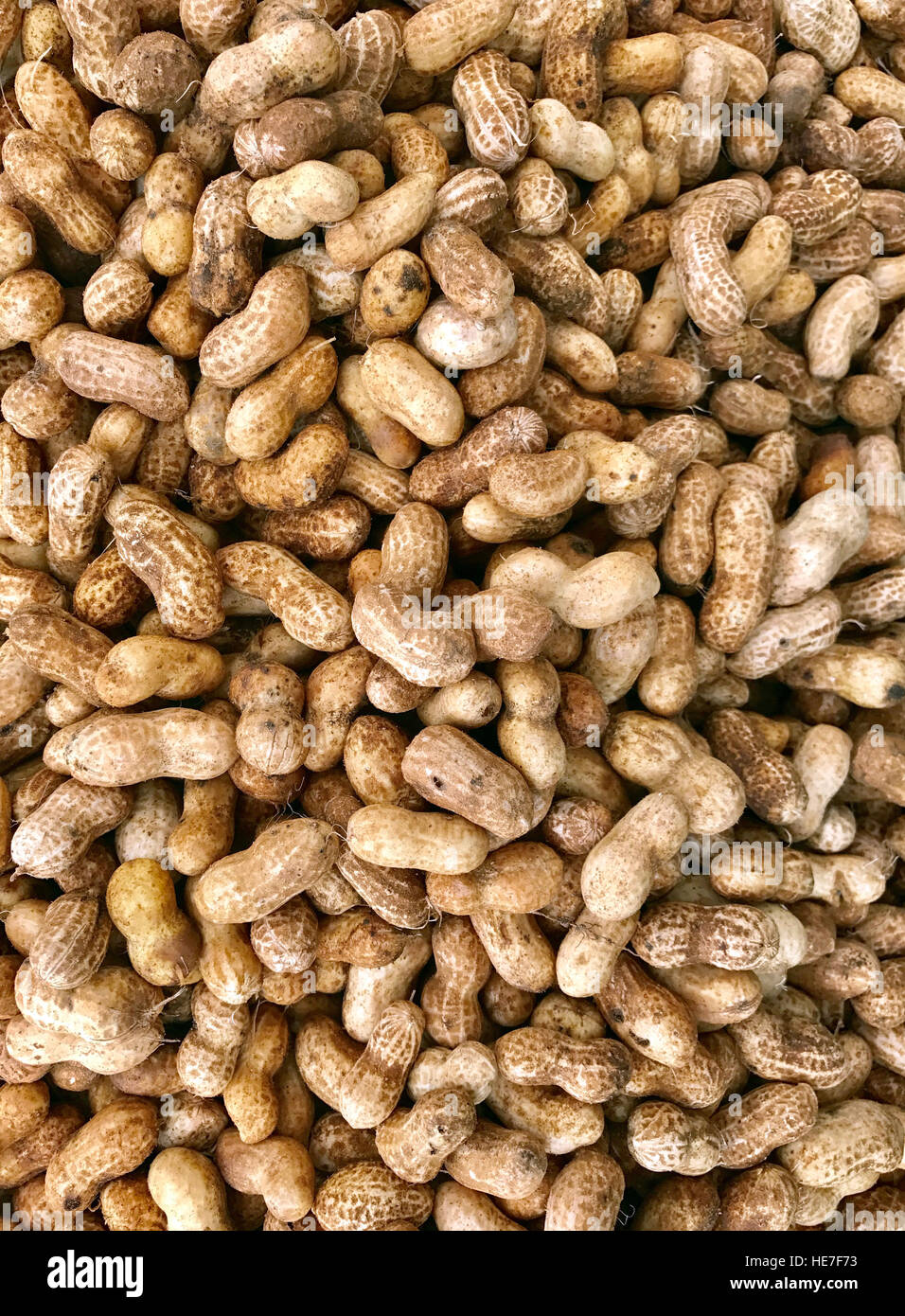 Several roasted nuts in a bin make a peanuts background Stock Photo