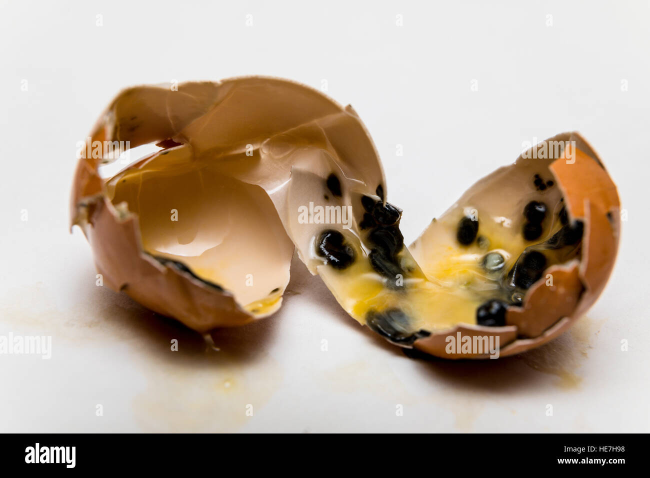 Finger Holding Rotten Egg Smell Putrid Worm Stock Photo - Download Image  Now - Egg - Food, Rotting, Animal Shell - iStock