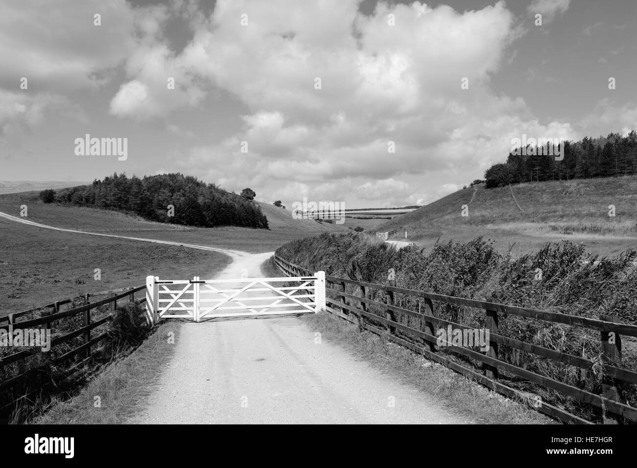 Monochrome English landscape with white wooden gates on a limestone farm track in  the Yorkshire wolds in summertime.. Stock Photo