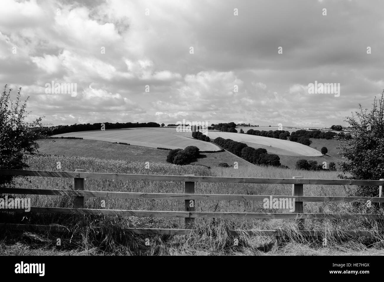 Monochrome English landscape with patterns and textures of the scenic patchwork fields of  the Yorkshire wolds in summertime. Stock Photo