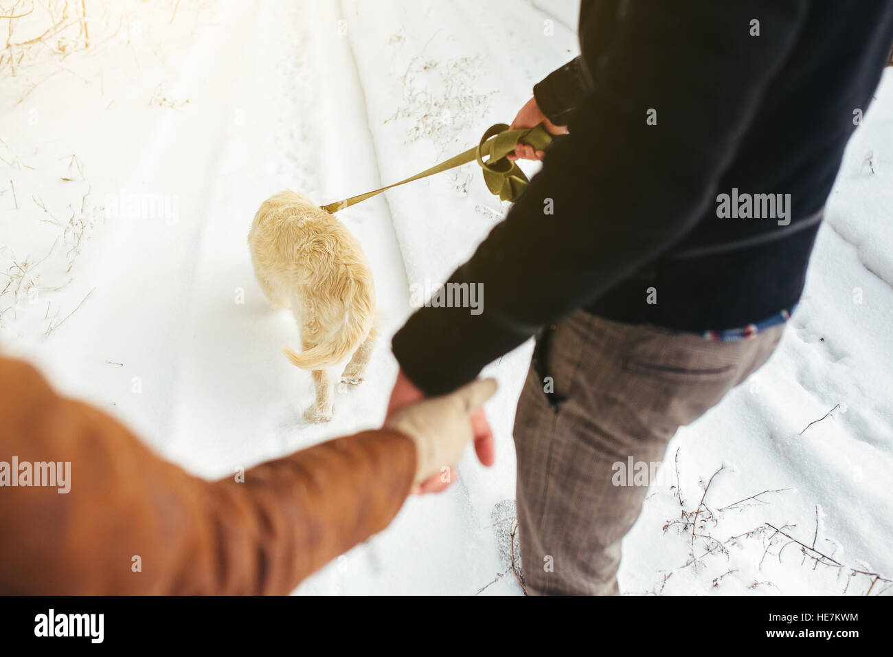 Young couple in love walking with dog Stock Photo - Alamy