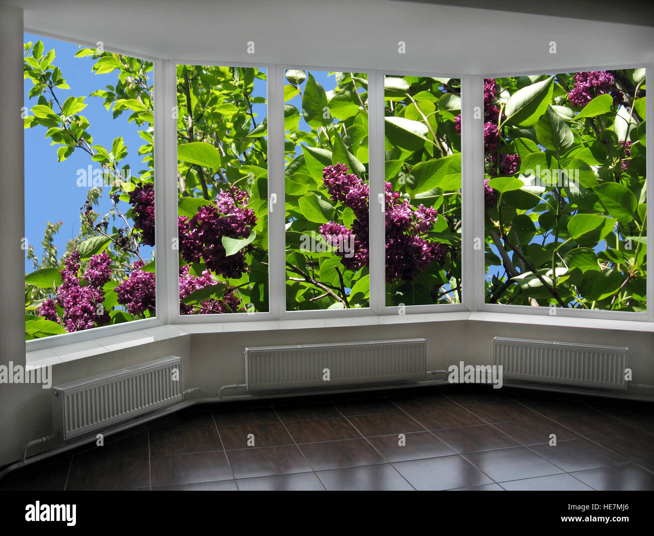 windows with view of the garden with big bush of lilac Stock Photo