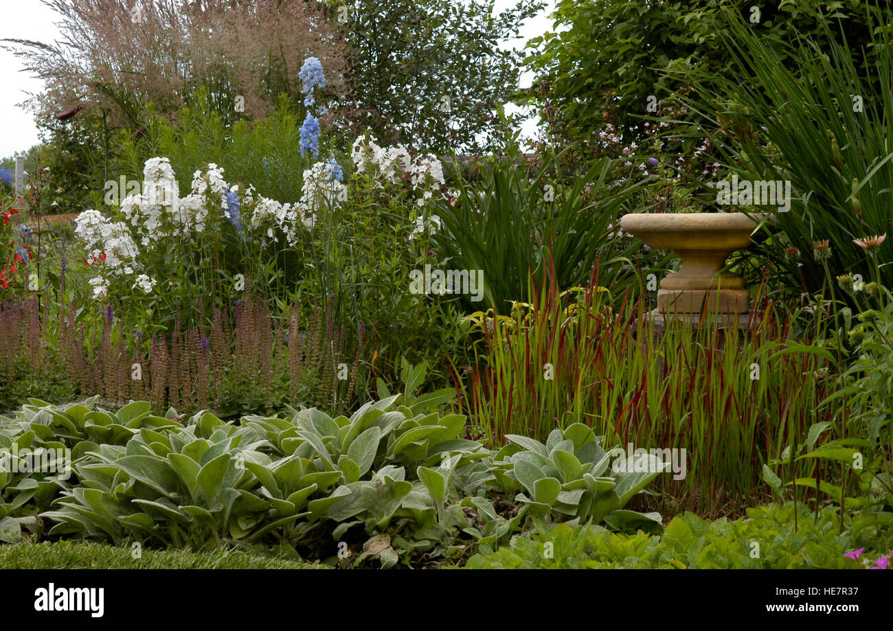 Summer garden with birdbath, stachys, phlox, delphinium, Imperata grass, blood grass, Stock Photo