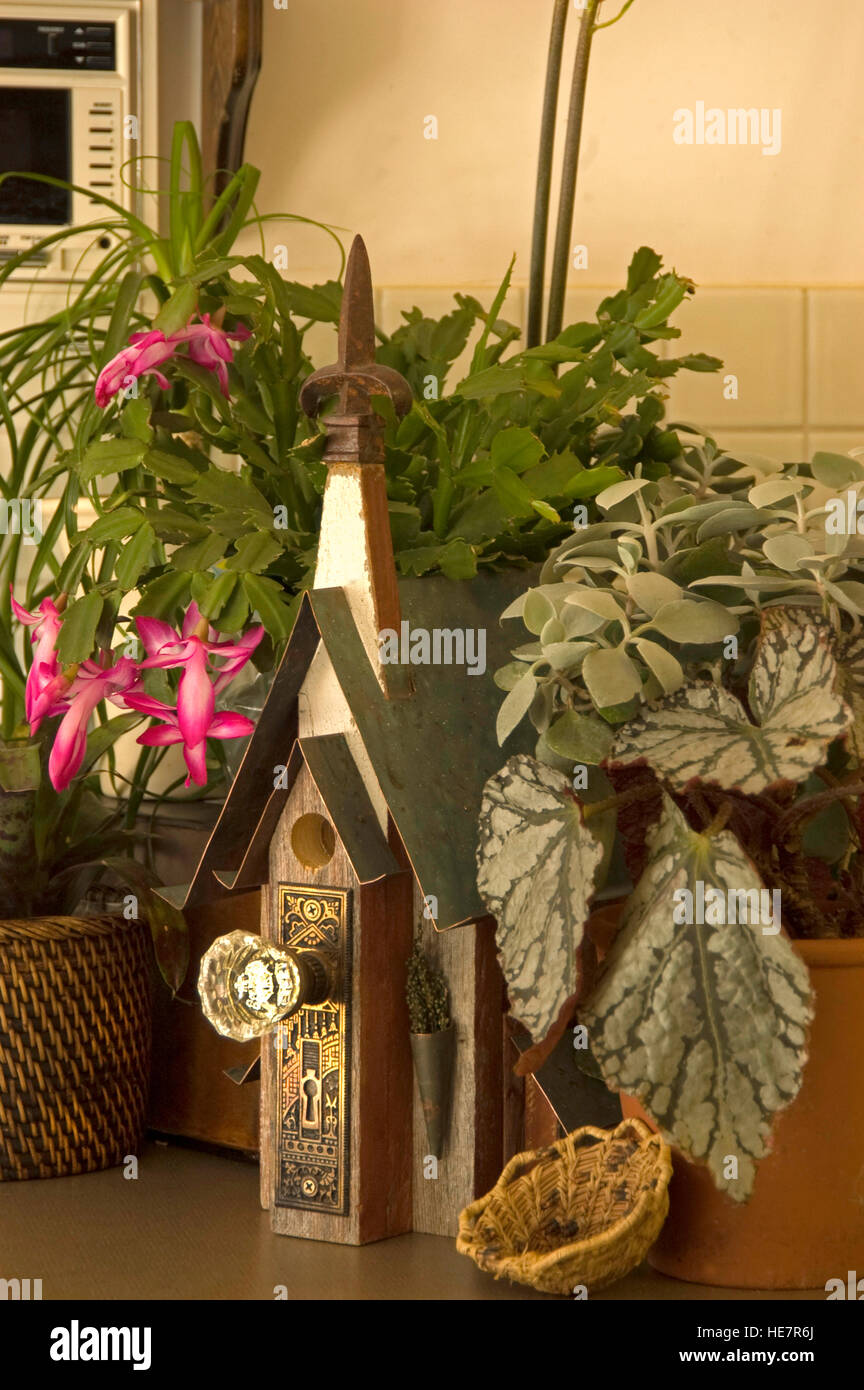 Birdhouse with Christmas Cactus (Zygocactus) , begonia and pine needle basket Stock Photo