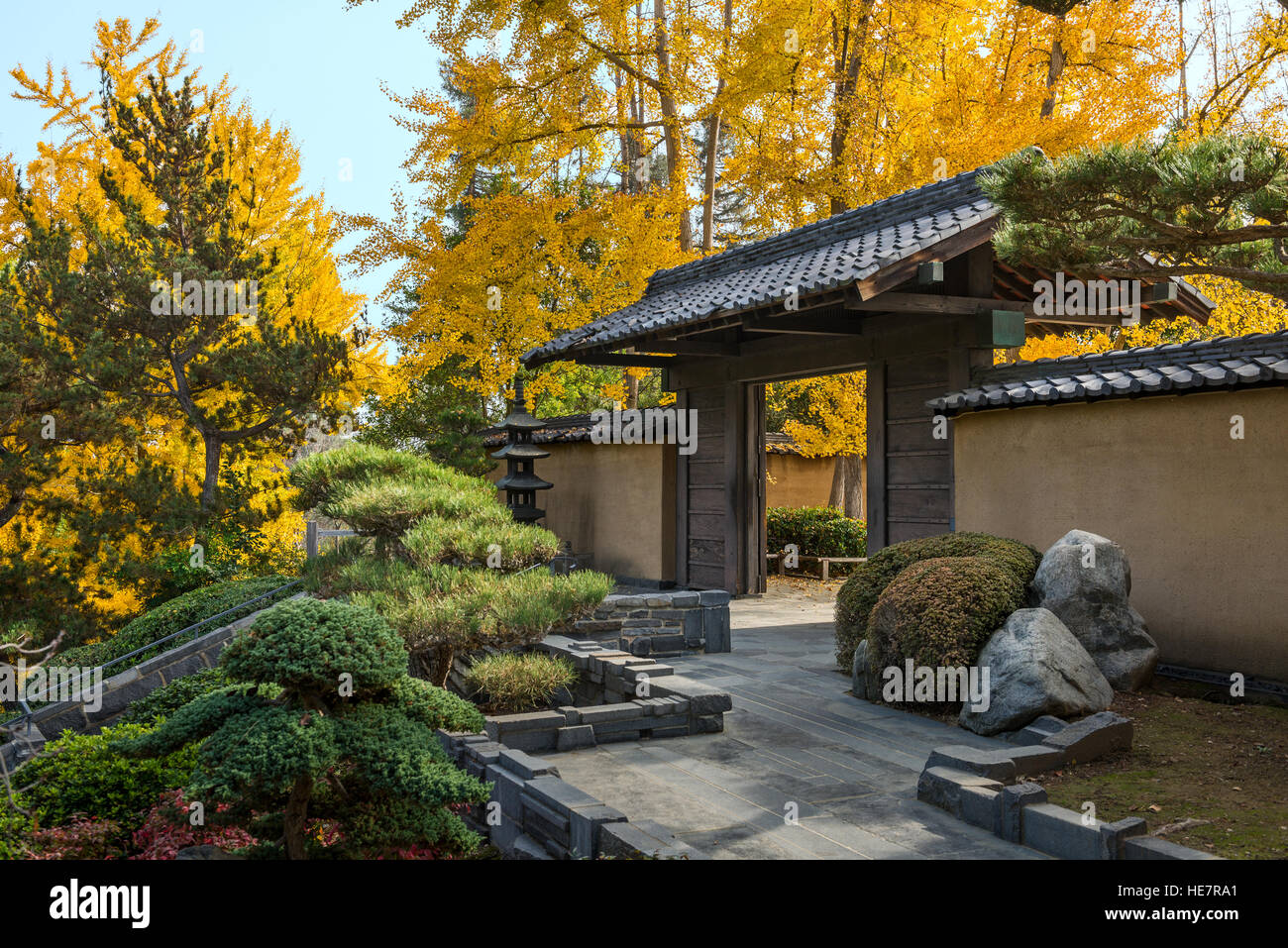 The Beautiful Fall Colors Of The Japanese Gardens In The
