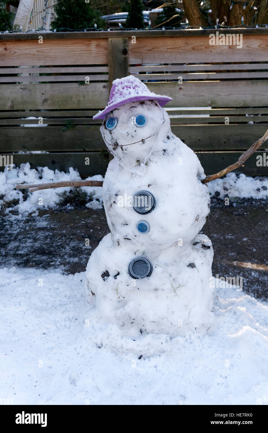 Funny snowman hi-res stock photography and images - Alamy
