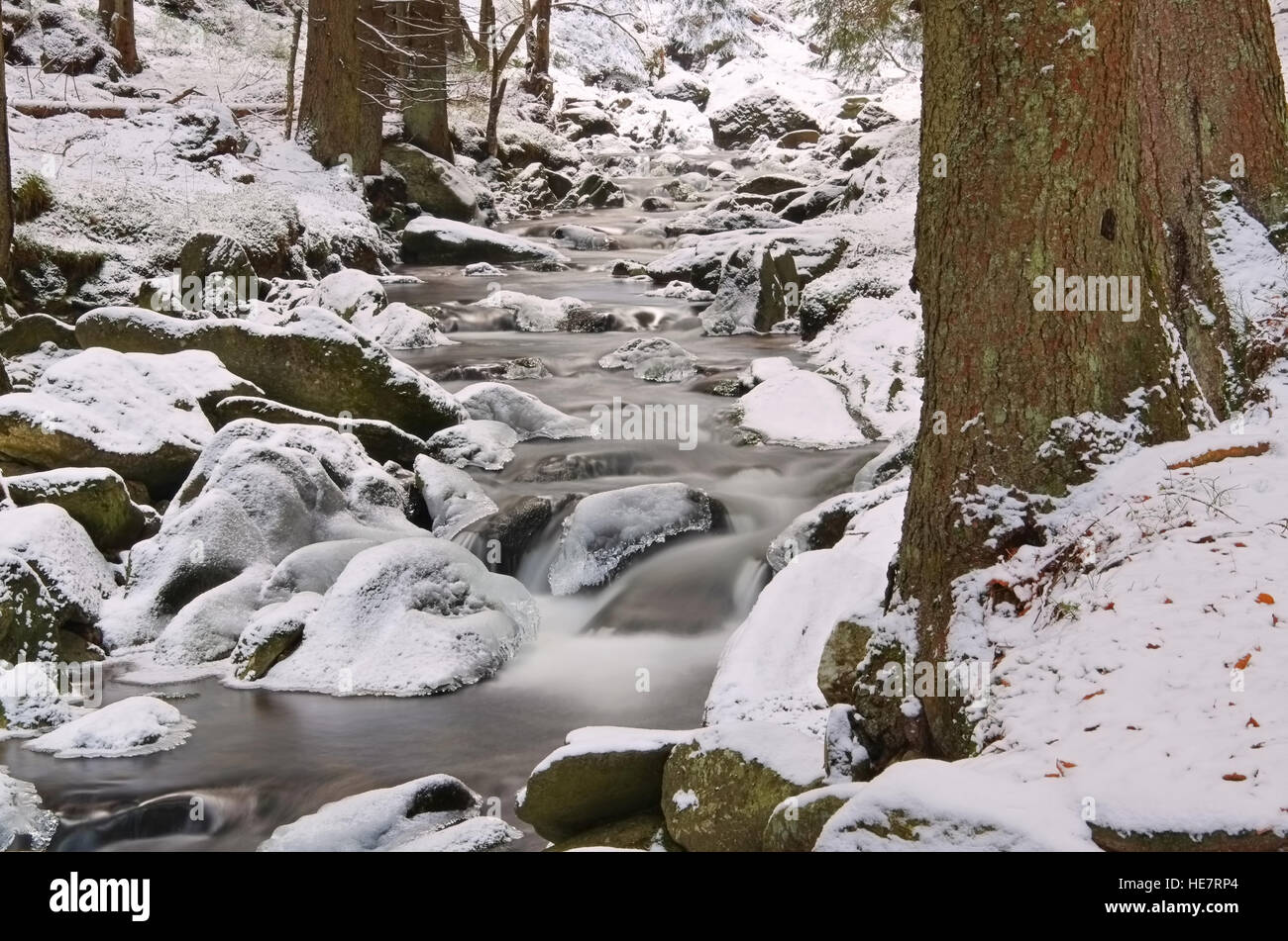 Gruenbach im Riesengebirge im Winter - creek in the Giant Mountains in winter Stock Photo