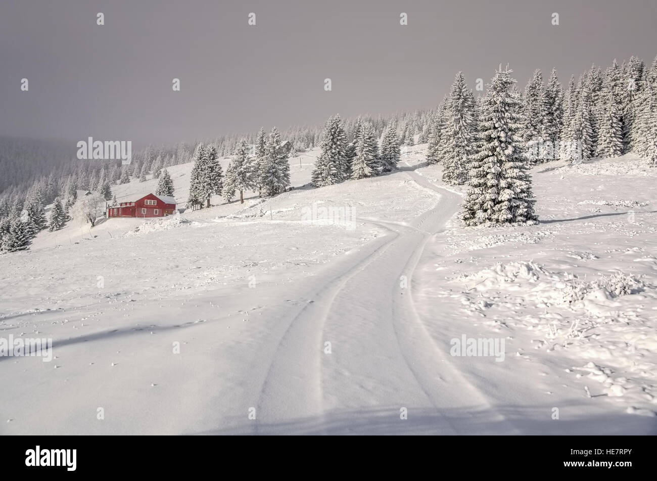 Riesengebirge im Winter - Giant Mountains in snowy winter Stock Photo