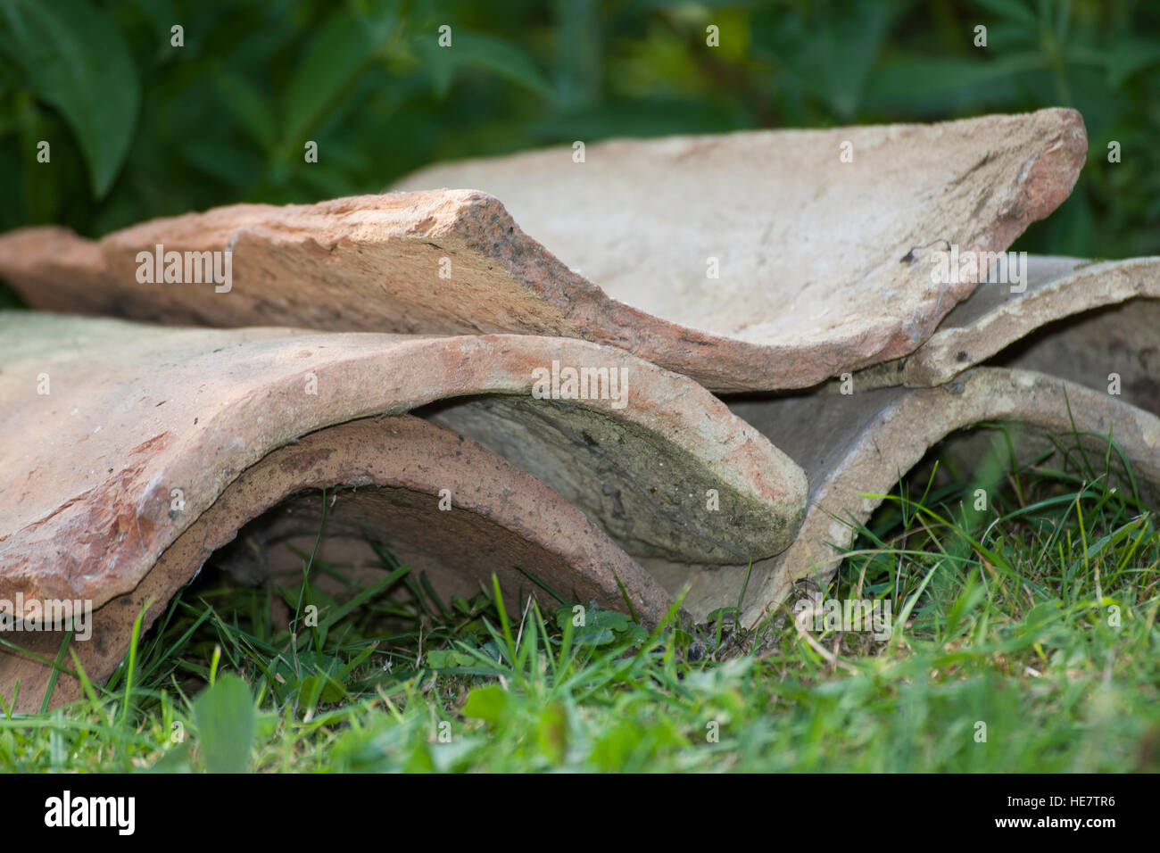 Dachziegel, Dachziegeln, alte Ziegel dienen mit ihren Hohlräumen als Unterschlupf, Lebensraum, Versteckmöglichkeit für Tiere im Garten, Tierfreundlich Stock Photo