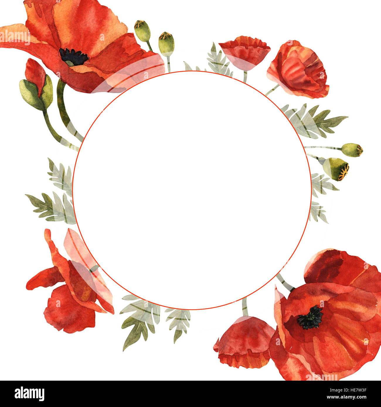 Poppy Flower Photo Frame