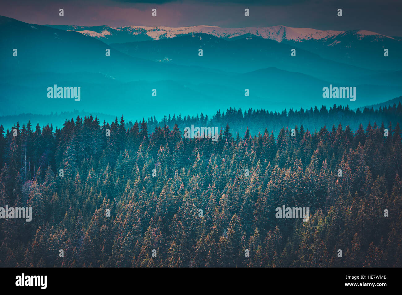 Fantastic mountain peaks and forest Stock Photo