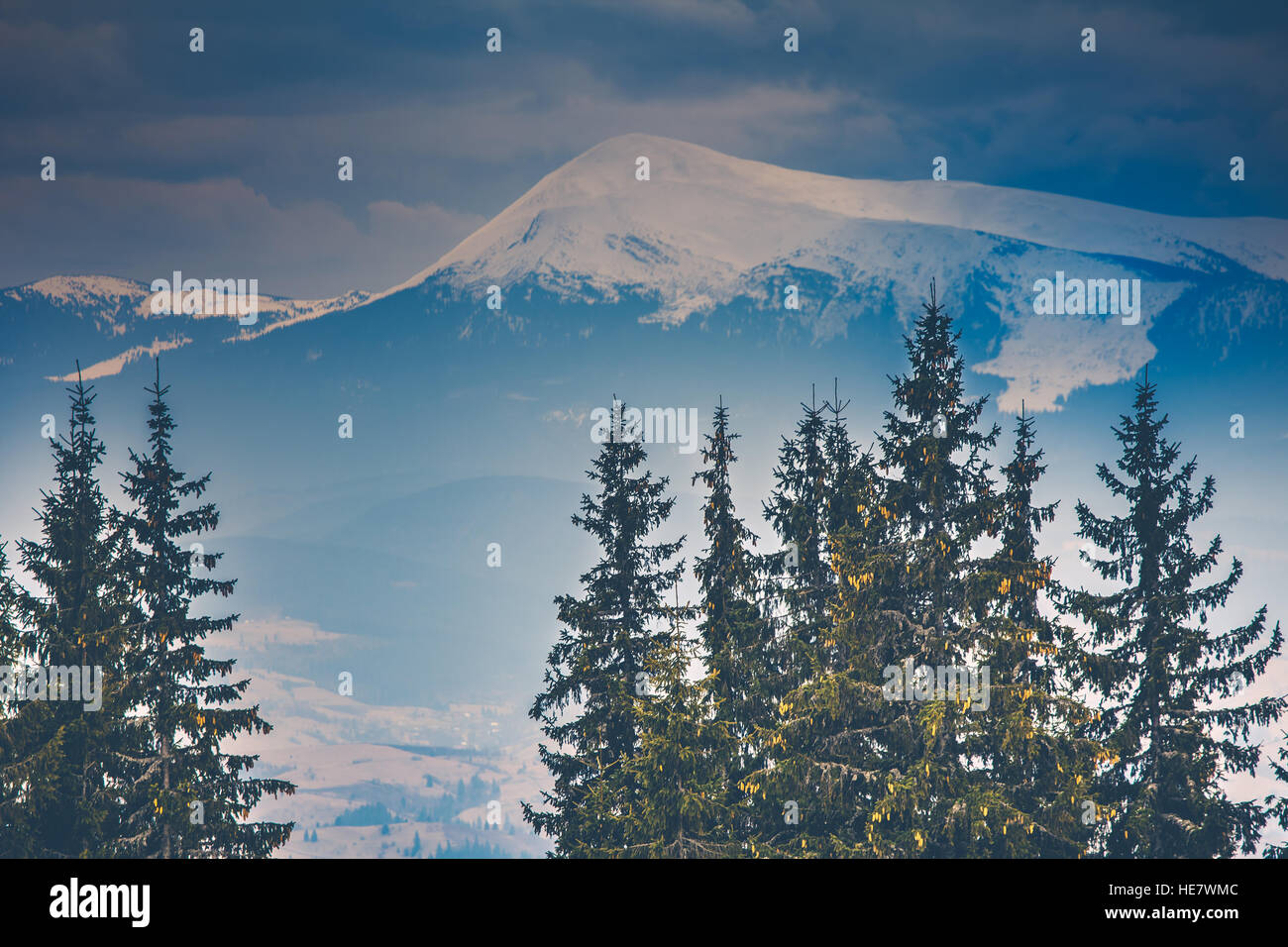 Snowy mountain peaks and pine trees Stock Photo - Alamy