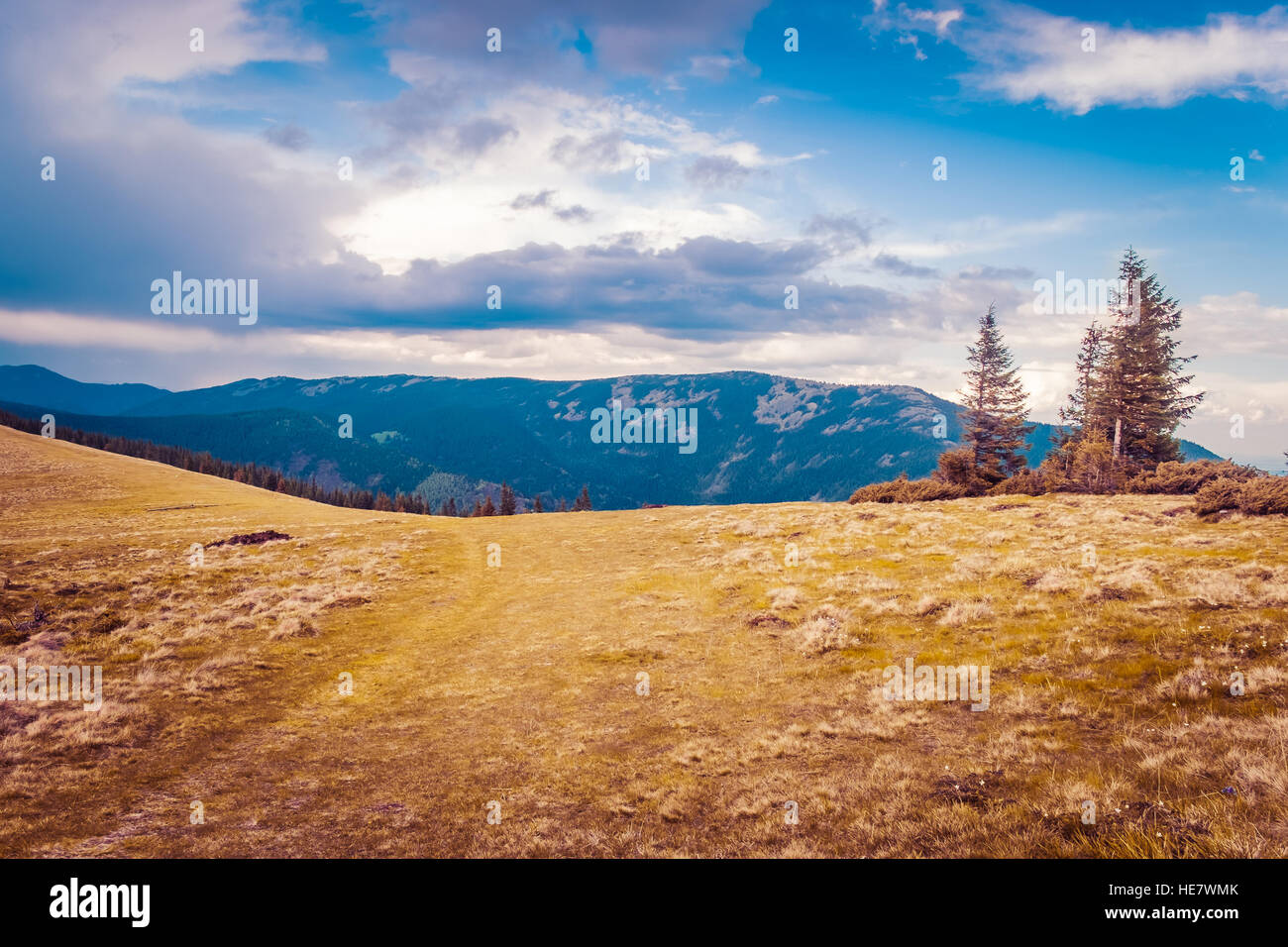 Mountain landscape with forest and blue sky Stock Photo - Alamy