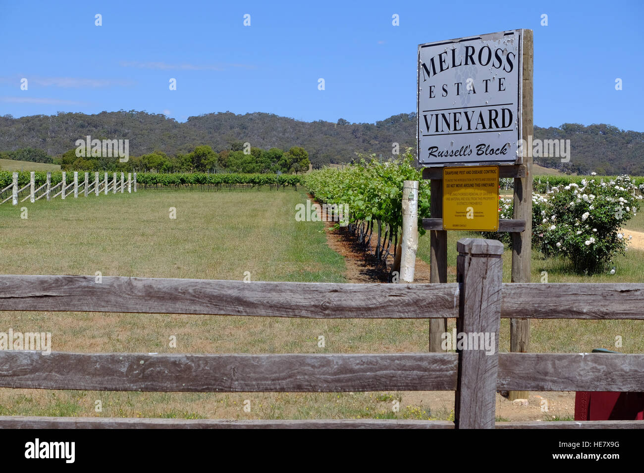 Melross Vineyard in the Pyranees wine growing region of Victoria, Australia Stock Photo