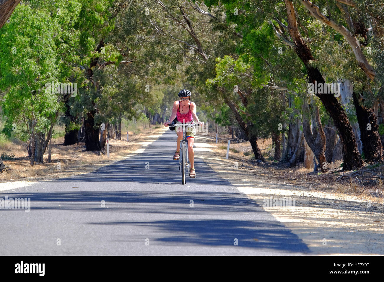 A woman cycling along a tree-lined road in the Pyrenees region of Victoria,Australia Stock Photo