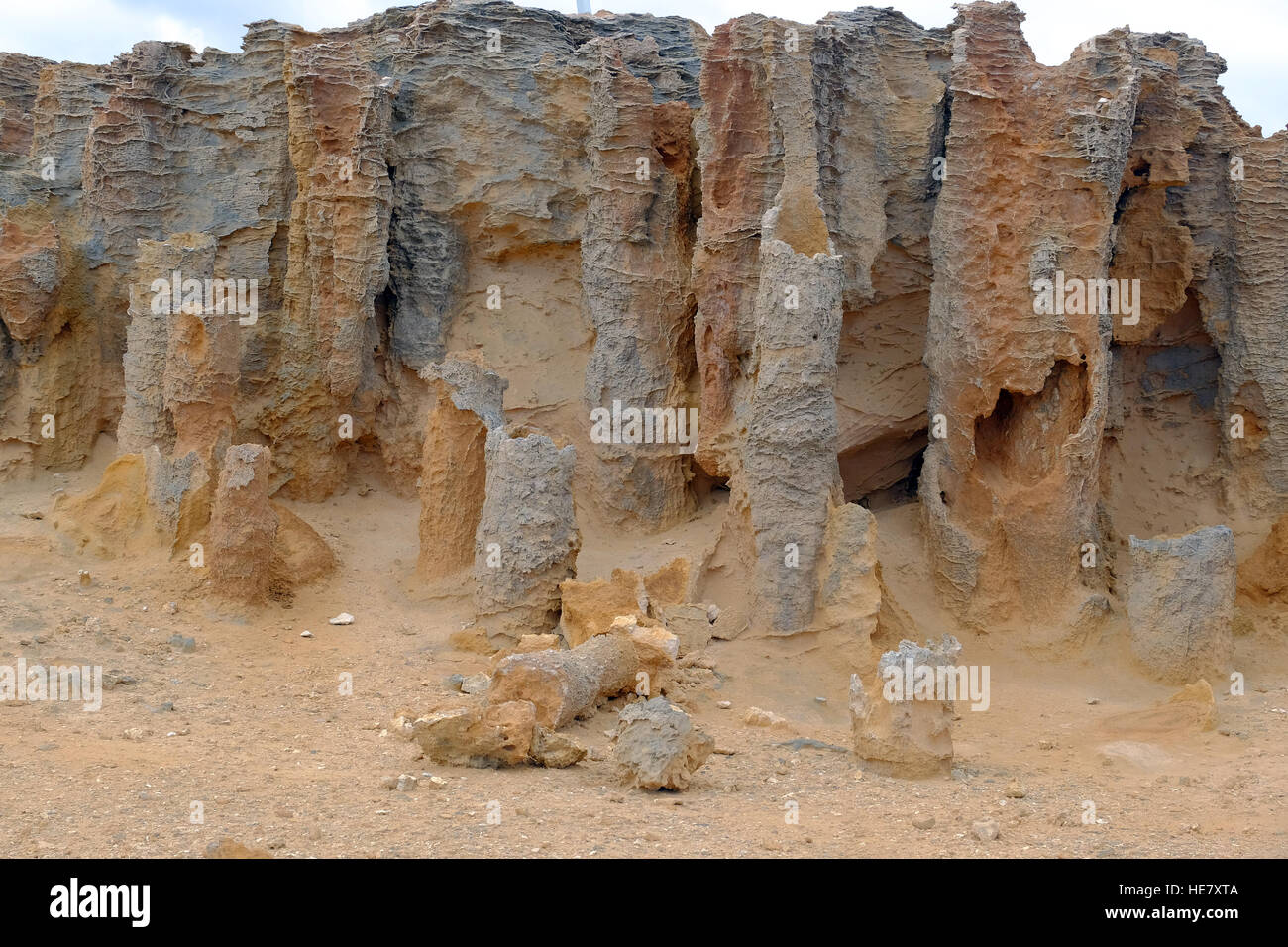 Petrified trees on the Great Ocean Road on the Australian coast, Stock Photo