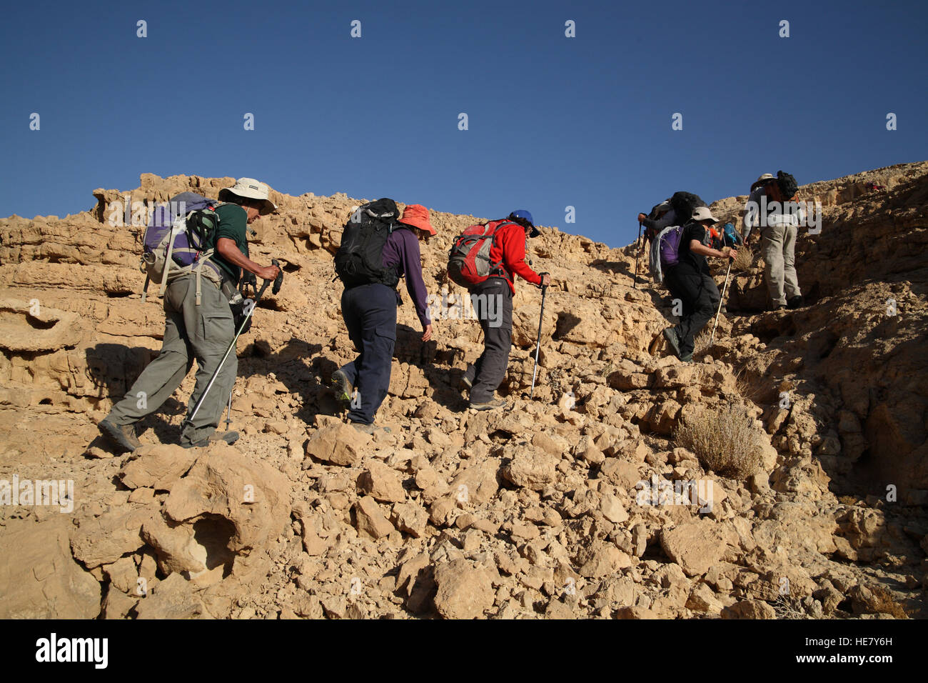 A group of senior citizen hikers are climbing from Nachal or Nahal Marzeva and ascend a rocky mountain in the Negev desert. Stock Photo