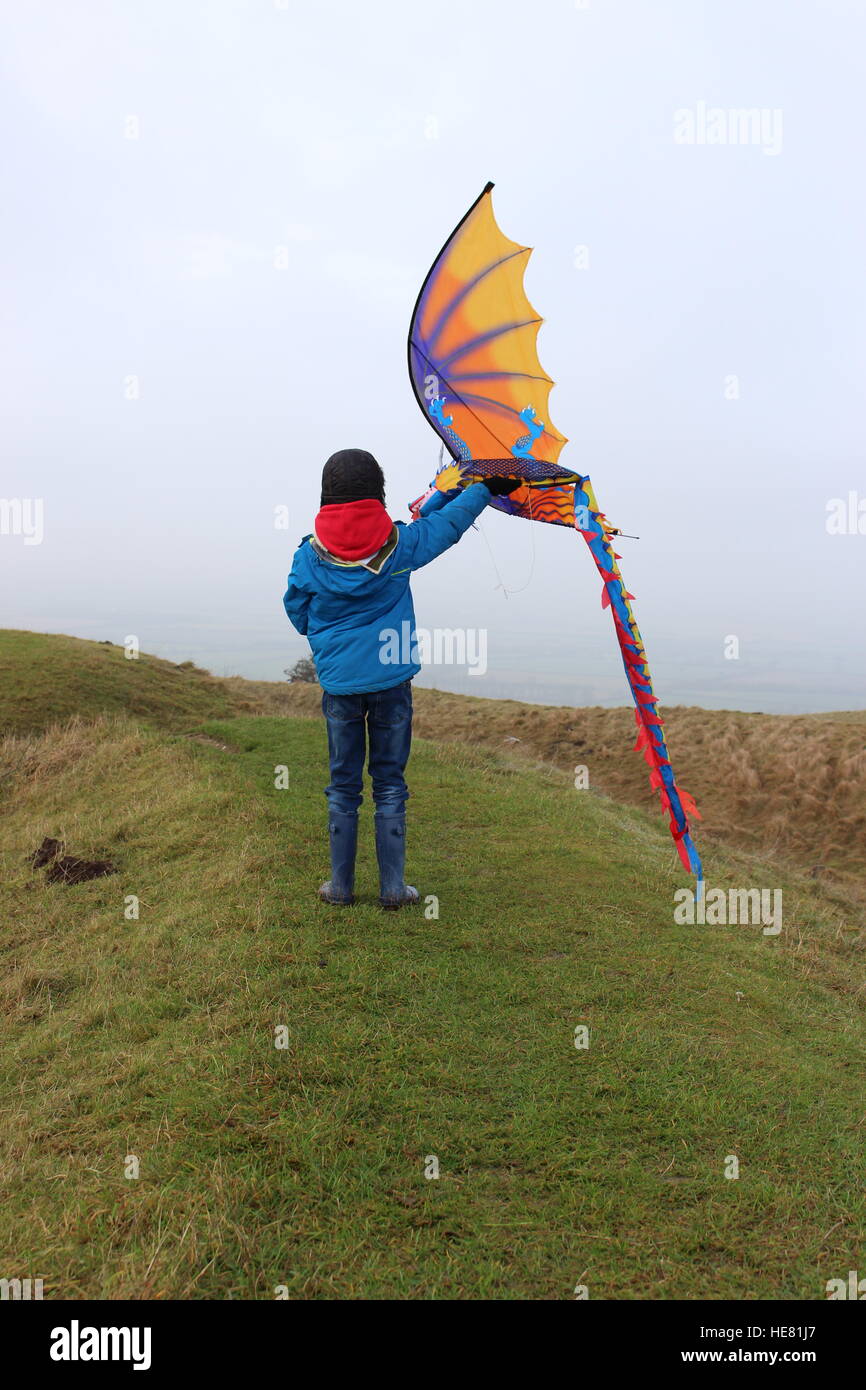 Little small 8 eight year old boy child kite dragon flying flying holding freedom childhood