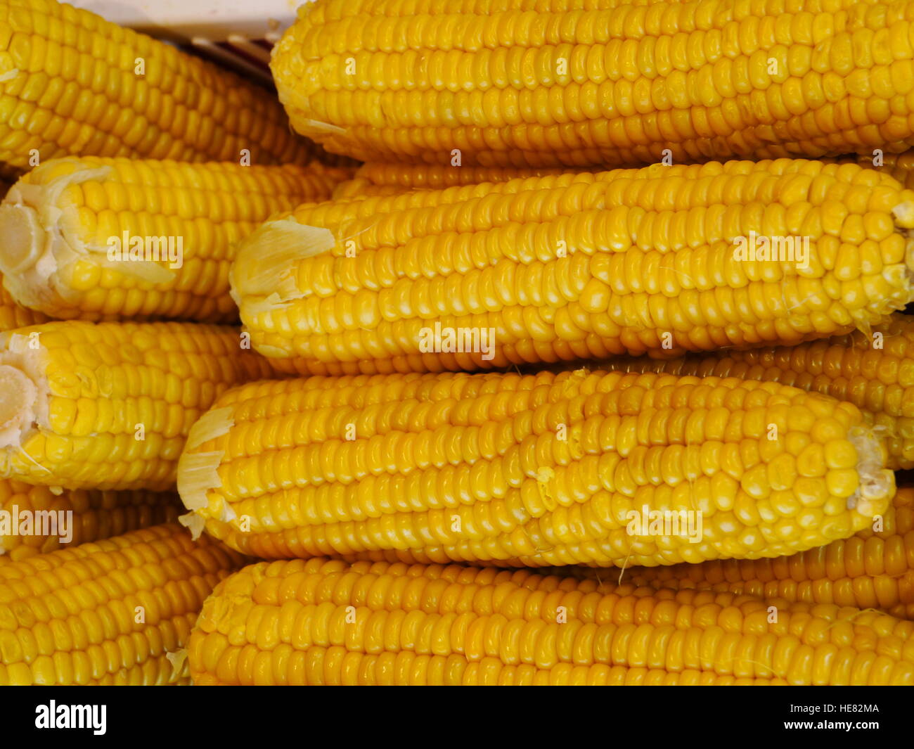 corn of the cob Stock Photo Alamy