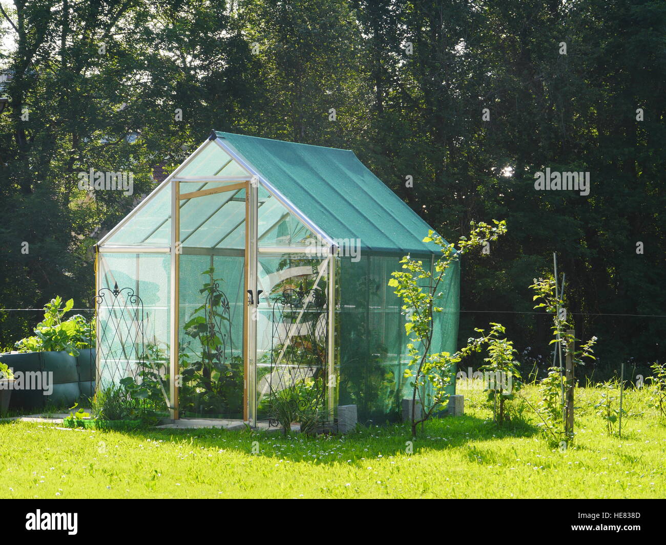 little greenhouse Stock Photo Alamy