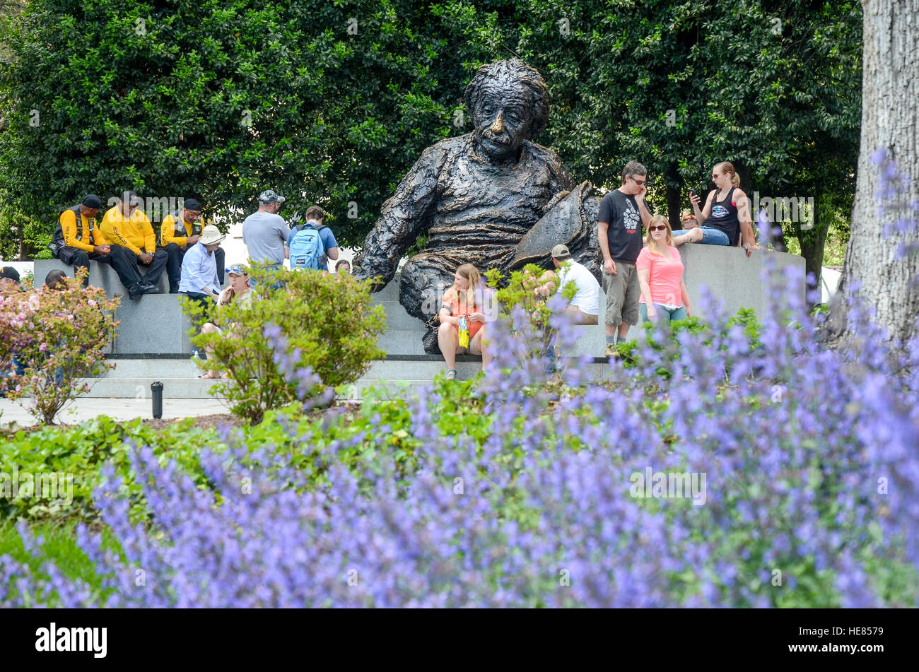 Bronze statue of Albert Einstein is in front of the National Academy of Sciences in Washington DC. Stock Photo