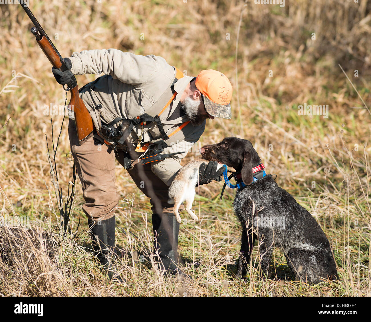 Dog And Rabbit Hunting atelieryuwa.ciao.jp