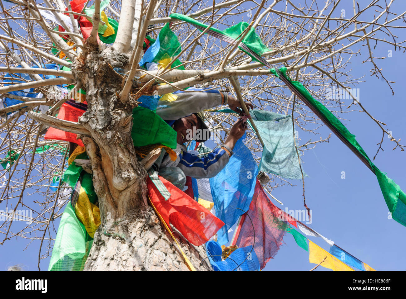 Lhasa: Tibetans attach new prayer flags to the Tibetan New Year (Losar), in front of Nechung Monastery, Tibet, China Stock Photo