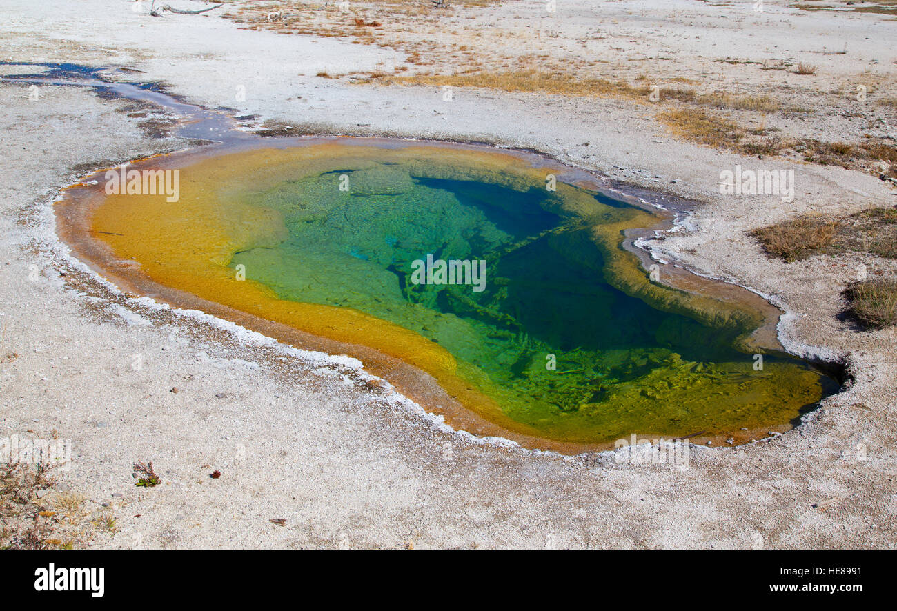 Colorful hot water pool in the Yellowstone National park, USA Stock Photo