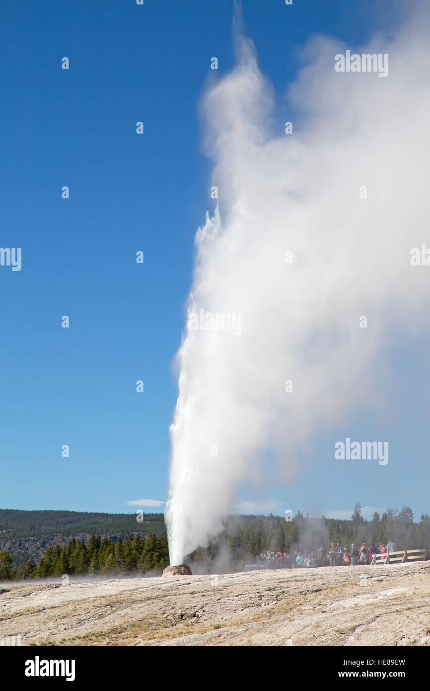 Cone geyser eruption in the Yellowstone national park, USA Stock Photo