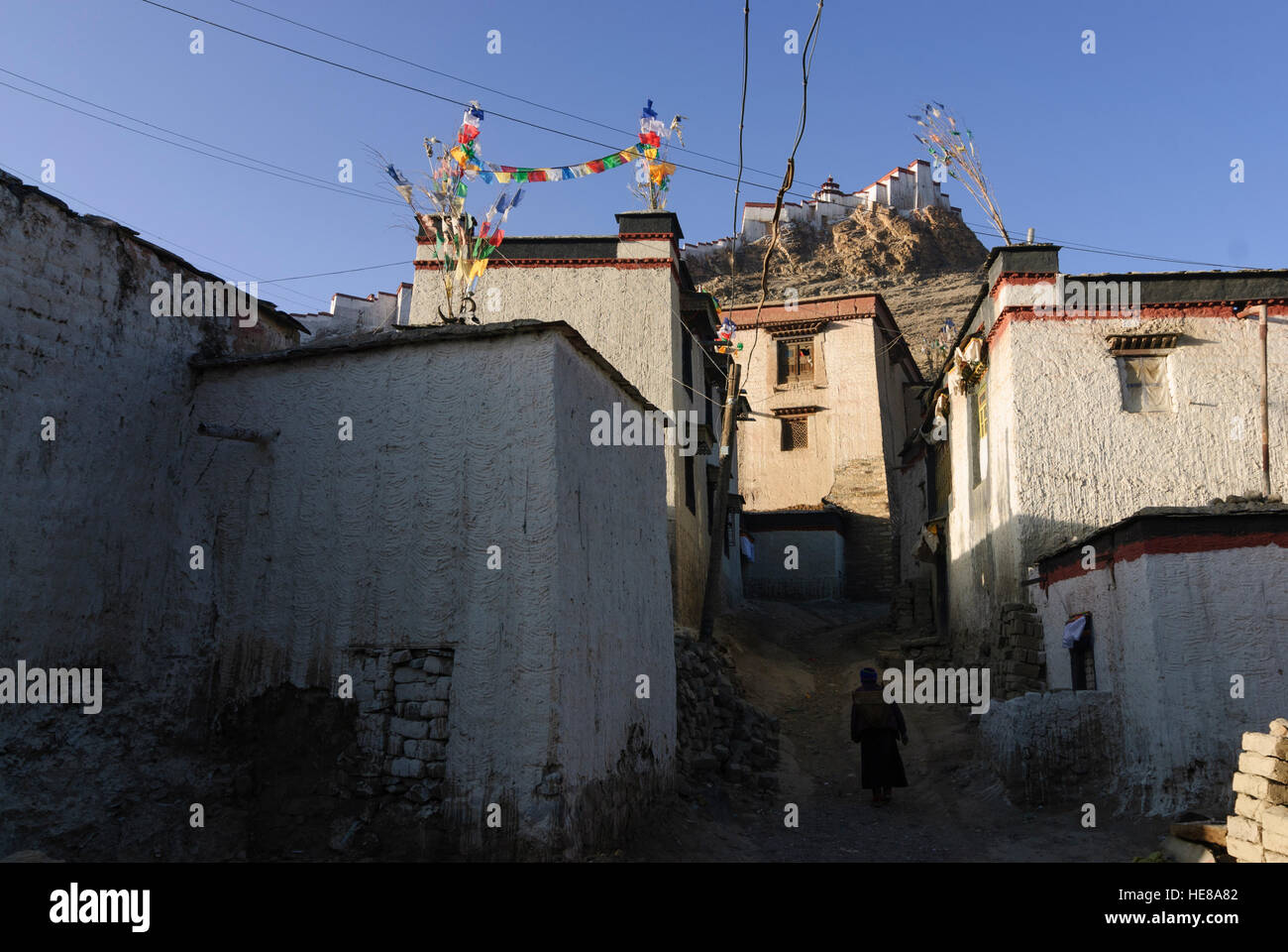 Gyantse: Dzong (castle) Gyantse and Tibetan residential houses, Tibet, China Stock Photo