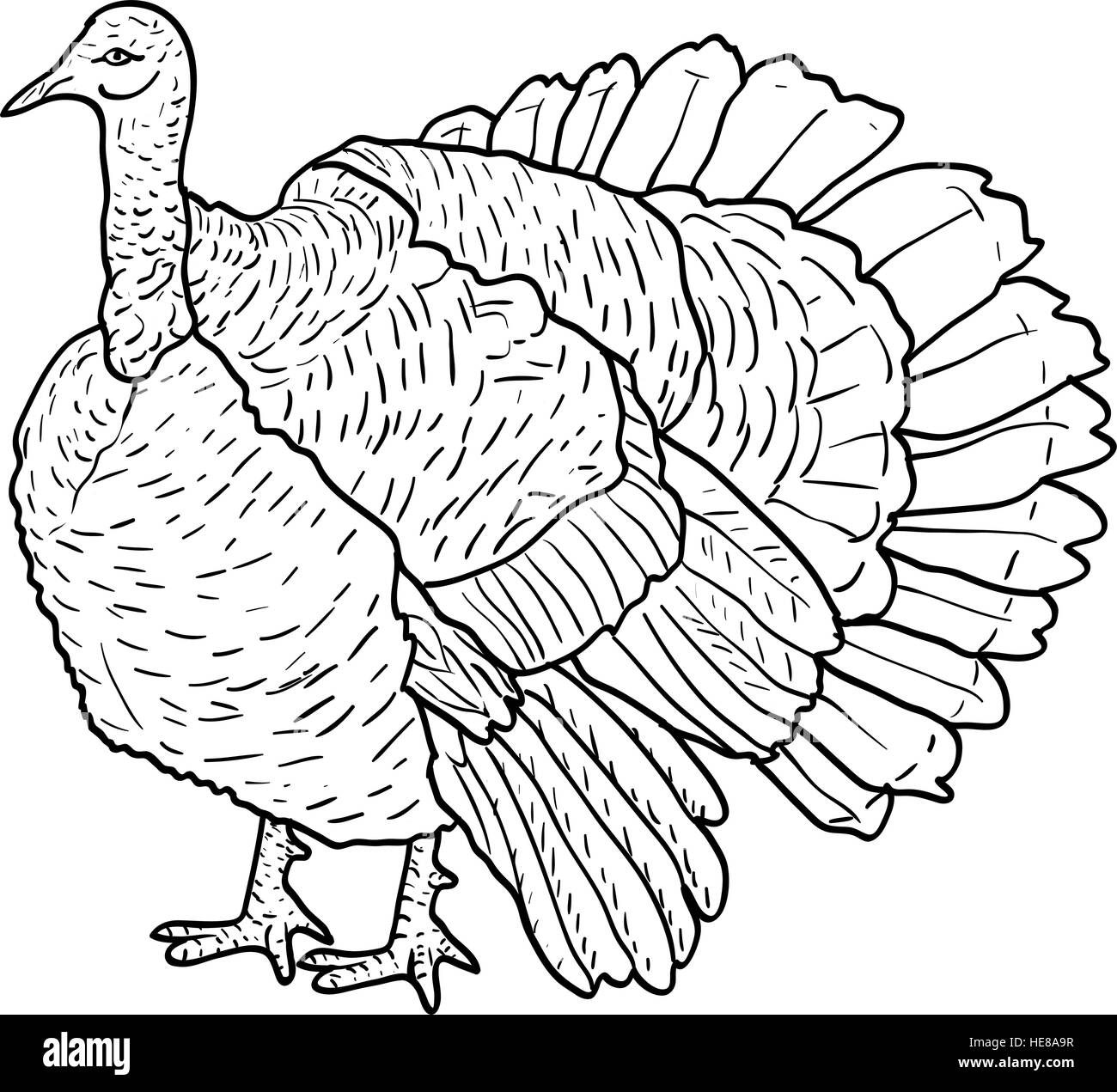 Sketch black turkey on a white background. Vector illustration. Stock Vector